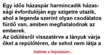 Vicc: Egy idős házaspár harmincadik házassági évfordulóján egy szigetre…