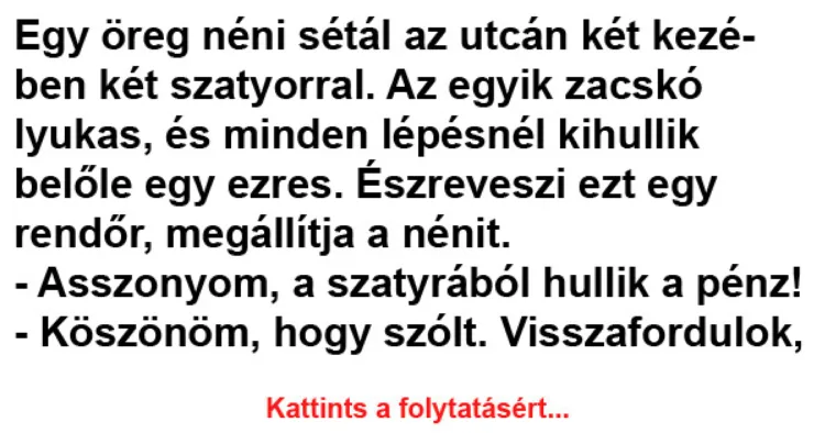 Vicc: Egy öreg néni sétál az utcán két kezében két Vicc: Egy öreg néni sétál az utcán két kezében két szatyorral –