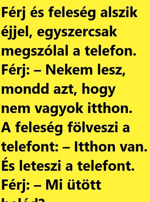 Vicc: Férj és feleség alszik éjjel, egyszercsak megszólal a telefon Vicc: Férj és feleség alszik éjjel, egyszercsak megszólal a telefon