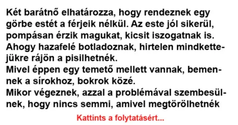 Vicc: Két barátnő elhatározza, hogy rendeznek egy görbe estét a férjeik…