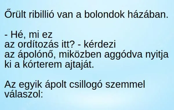 Vicc: Őrült ribillió van a bolondok házában. Vicc: Őrült ribillió van a bolondok házában.