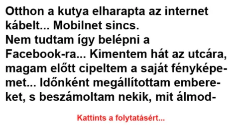 Vicc: Otthon a kutya elharapta az internet kábelt… –