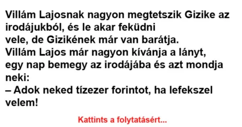 Vicc: Villám Lajosnak nagyon megtetszik Gizike az irodájukból –