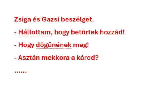 Vicc: Zsiga és Gazsi beszélget….