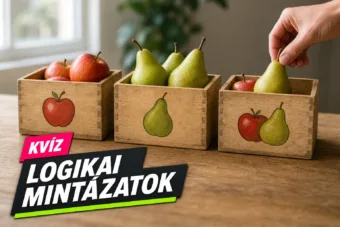 Logikai mintázatok kvíz: a számsorok és a hibás címkék mögötti szabályt is átlátod?