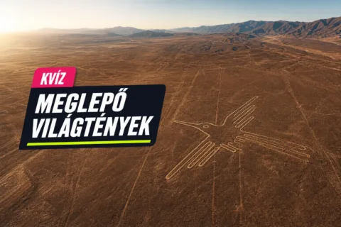 Meglepő világtények kvíz: elsőre kiszúrod, melyik válasz csak hihetőnek hangzik? Meglepő világtények kvíz: elsőre kiszúrod, melyik válasz csak hihetőnek hangzik?