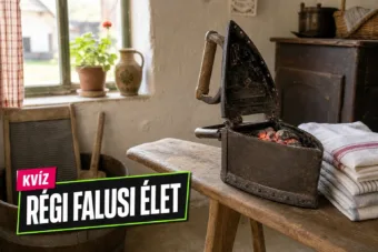 Régi falusi élet kvíz: elsőre tudod, mire való a palatábla, a mosódeszka és a szakajtó? Régi falusi élet kvíz: elsőre tudod, mire való a palatábla, a mosódeszka és a szakajtó?