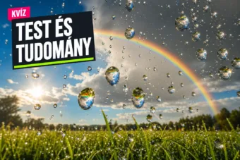 Test és tudomány kvíz: a szivárványtól az izzadásig felismered a valódi magyarázatot? Test és tudomány kvíz: a szivárványtól az izzadásig felismered a valódi magyarázatot?