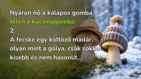 Nyáron nő a kalapos gomba, télen a kucsmagomba. 2. A fecske egy költöző madár, olyan mint a gólya, csak sokkal kisebb és nem hasonlít...