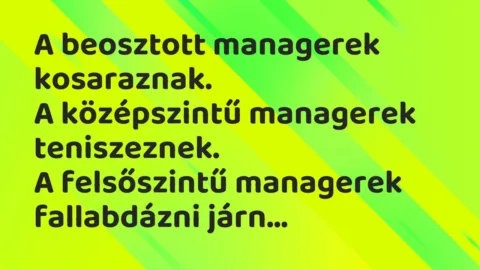 Vicc: A beosztott managerek kosaraznak…