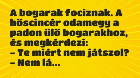 Vicc: A bogarak fociznak. A hőscincér odamegy a padon ülő bogarakhoz…