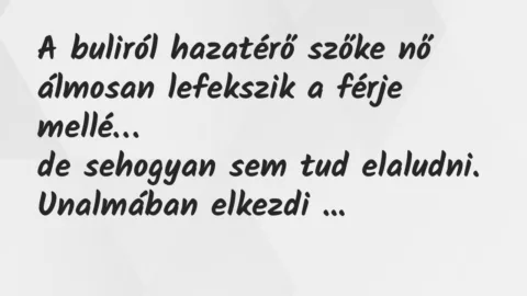 Vicc: A buliról hazatérő szőke nő álmosan lefekszik a férje mellé…