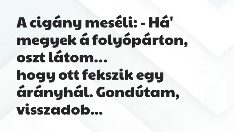 Vicc: A cigány meséli: – Há’ megyek á folyópárton, oszt látom… Vicc: A cigány meséli: – Há’ megyek á folyópárton, oszt látom…