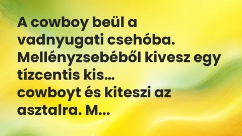 Vicc: A cowboy beül a vadnyugati csehóba. Mellényzsebéből kivesz…