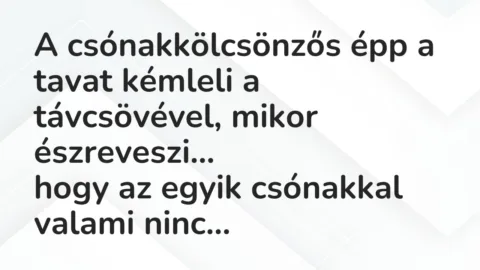 Vicc: A csónakkölcsönzős épp a tavat kémleli a távcsövével, mikor észreveszi…