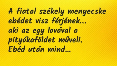 Vicc: A fiatal székely menyecske ebédet visz férjének, aki az egy lovával…