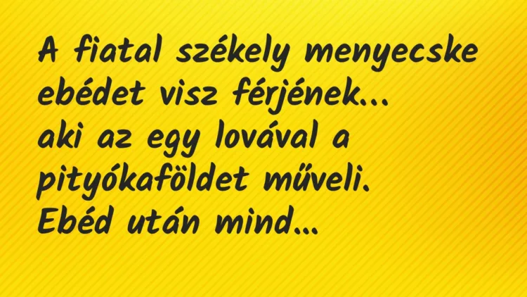 Vicc: A fiatal székely menyecske ebédet visz férjének, aki az egy lovával… Vicc: A fiatal székely menyecske ebédet visz férjének, aki az egy lovával…