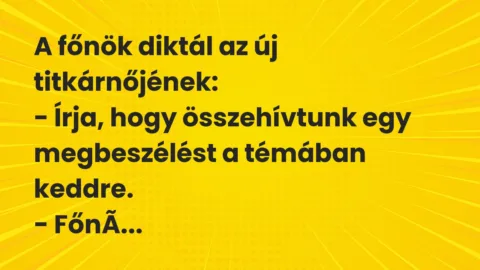 Vicc: A főnök diktál az új titkárnőjének…