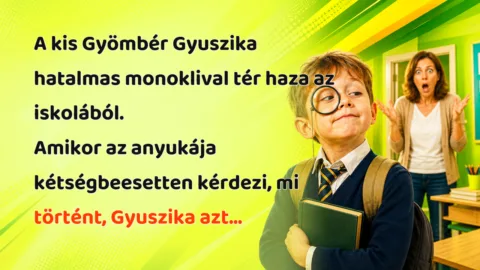 A kis Gyömbér Gyuszika hatalmas monoklival tér haza az iskolából. Amikor az anyukája kétségbeesetten kérdezi, mi történt, Gyuszika azt...