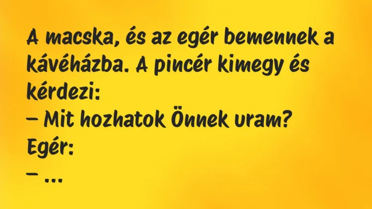 Vicc: A macska, és az egér bemennek a kávéházba. A pincér kimegy és kérdezi… Vicc: A macska, és az egér bemennek a kávéházba. A pincér kimegy és kérdezi…