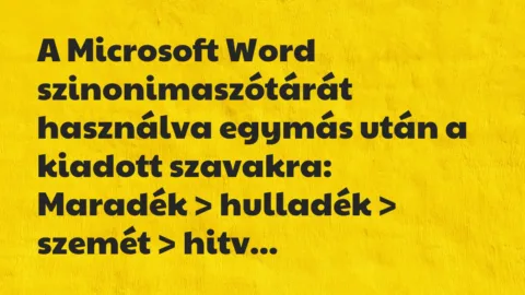 Vicc: A Microsoft Word szinonimaszótárát használva egymás után a kiadott…