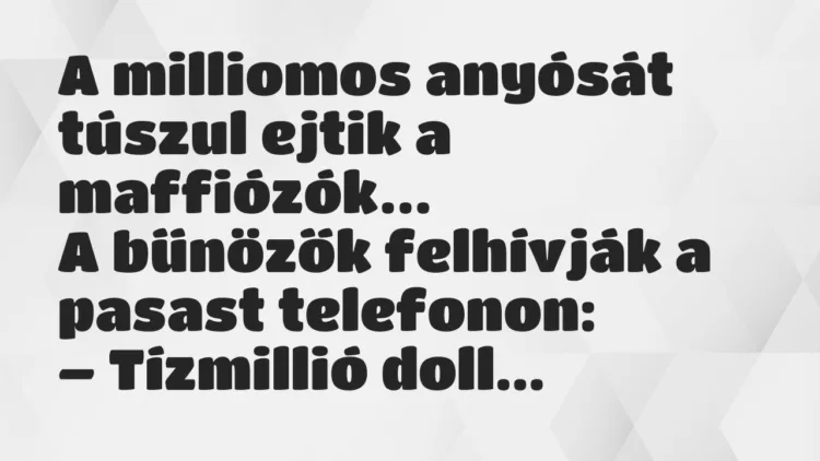Vicc: A milliomos anyósát túszul ejtik a maffiózók. A bűnözők felhívják… Vicc: A milliomos anyósát túszul ejtik a maffiózók. A bűnözők felhívják…