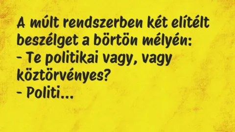 Vicc: A múlt rendszerben két elítélt beszélget a börtön mélyén…