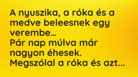 Vicc: A nyuszika, a róka és a medve beleesnek egy verembe. Pár nap múlva már…