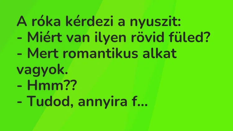 Vicc: A róka kérdezi a nyuszit… Vicc: A róka kérdezi a nyuszit…