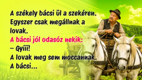 A székely bácsi ül a szekéren. Egyszer csak megállnak a lovak. A bácsi jól odasóz nekik: – Gyííí! A lovak meg sem moccannak. A bácsi...
