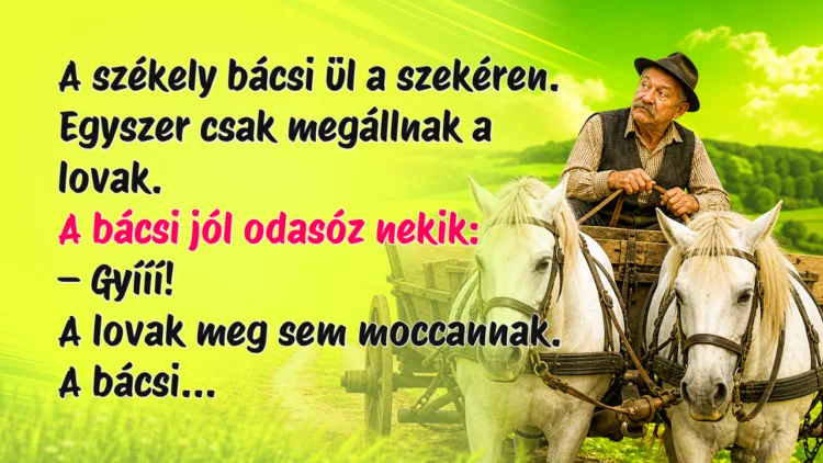 Vicc: A székely bácsi ül a szekéren. Egyszer csak megállnak a lovak... A székely bácsi ül a szekéren. Egyszer csak megállnak a lovak. A bácsi jól odasóz nekik: – Gyííí! A lovak meg sem moccannak. A bácsi...