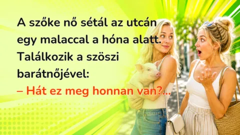 A szőke nő sétál az utcán egy malaccal a hóna alatt. Találkozik a szöszi barátnőjével: – Hát ez meg honnan van?...