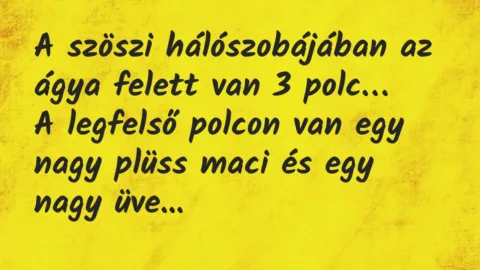 Vicc: A szöszi hálószobájában az ágya felett van 3 polc. A legfelső polcon…