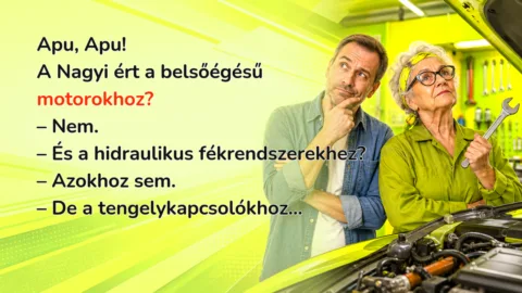 Apu, Apu! A Nagyi ért a belsőégésű motorokhoz? – Nem. – És a hidraulikus fékrendszerekhez? – Azokhoz sem. – De a tengelykapcsolókhoz...