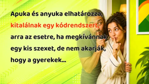 Apuka és anyuka elhatározza, kitalálnak egy kódrendszert, arra az esetre, ha megkívánnak egy kis szexet, de nem akarják, hogy a gyerekek...