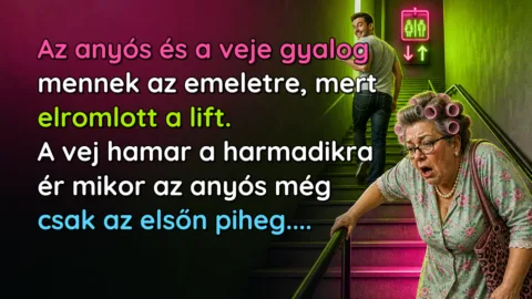Az anyós és a veje gyalog mennek az emeletre, mert elromlott a lift. A vej hamar a harmadikra ér mikor az anyós még csak az elsőn piheg....