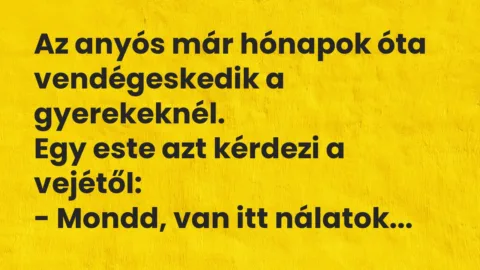 Vicc: Az anyós már hónapok óta vendégeskedik a gyerekeknél… Vicc: Az anyós már hónapok óta vendégeskedik a gyerekeknél…