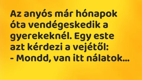 Vicc: Az anyós már hónapok óta vendégeskedik a gyerekeknél. Egy este…
