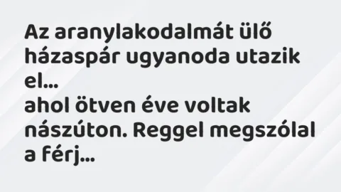 Vicc: Az aranylakodalmát ülő házaspár ugyanoda utazik el, ahol ötven éve… Vicc: Az aranylakodalmát ülő házaspár ugyanoda utazik el, ahol ötven éve…