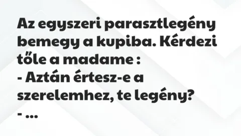 Vicc: Az egyszeri parasztlegény bemegy a kupiba. Kérdezi tőle a madame…