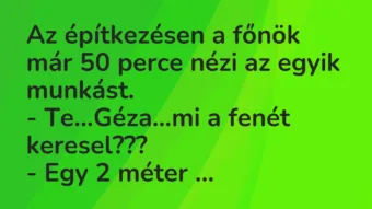 Vicc: Az építkezésen a főnök már 50 perce nézi az egyik munkást… Vicc: Az építkezésen a főnök már 50 perce nézi az egyik munkást…