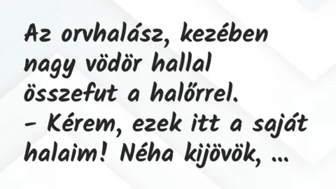 Vicc: Az orvhalász, kezében nagy vödör hallal összefut a halőrrel…
