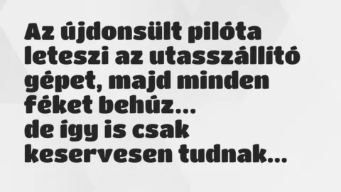 Vicc: Az újdonsült pilóta leteszi az utasszállító gépet, majd minden féket…
