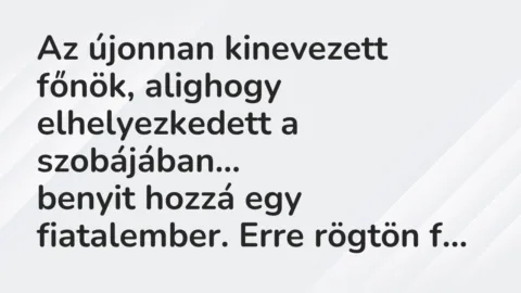 Vicc: Az újonnan kinevezett főnök, alighogy elhelyezkedett a szobájában…