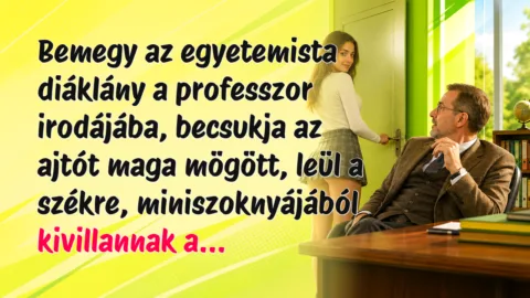 Vicc: Bemegy az egyetemista diáklány a professzor irodájába, becsukja... Bemegy az egyetemista diáklány a professzor irodájába, becsukja az ajtót maga mögött, leül a székre, miniszoknyájából kivillannak a...