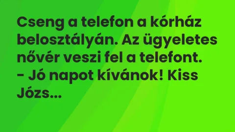 Vicc: Cseng a telefon a kórház belosztályán. Az ügyeletes nővér veszi fel…