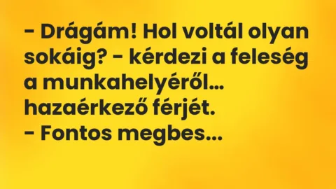 Vicc: Drágám! Hol voltál olyan sokáig? – kérdezi a feleség a munkahelyéről…