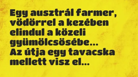 Vicc: Egy ausztrál farmer, vödörrel a kezében elindul a közeli gyümölcsösébe…