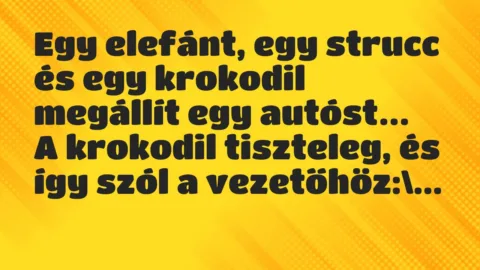 Vicc: Egy elefánt, egy strucc és egy krokodil megállít egy autóst…
