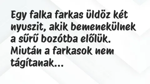 Vicc: Egy falka farkas üldöz két nyuszit, akik bemenekülnek a sűrű bozótba…